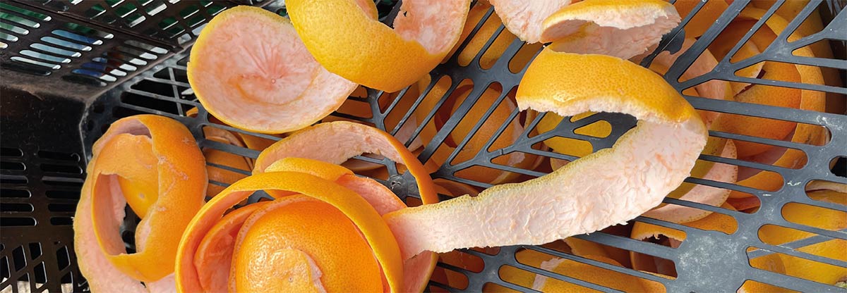 citrus peels gin flavouring