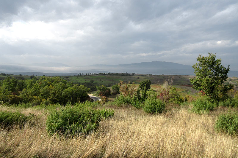 Juniper hills in macedonia