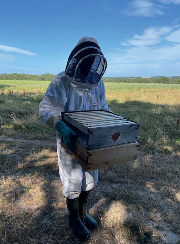 moving bee hives