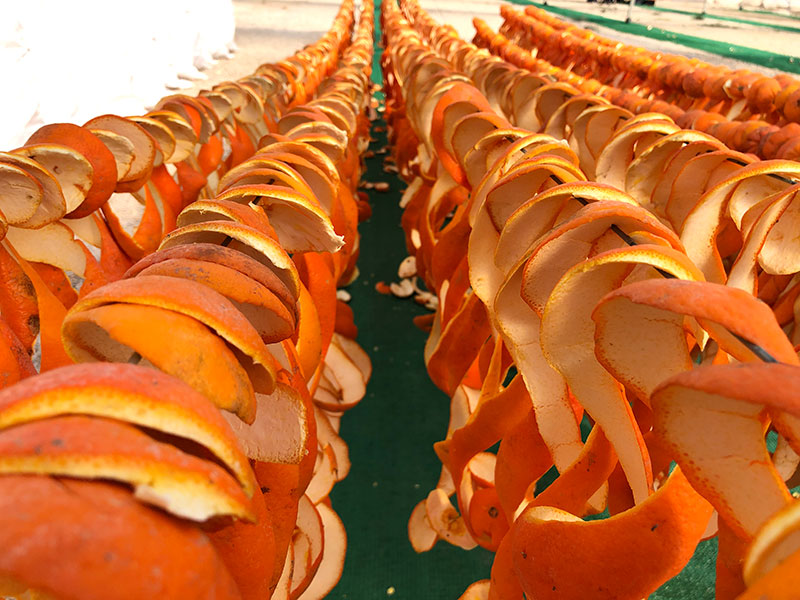 orange peel drying spain