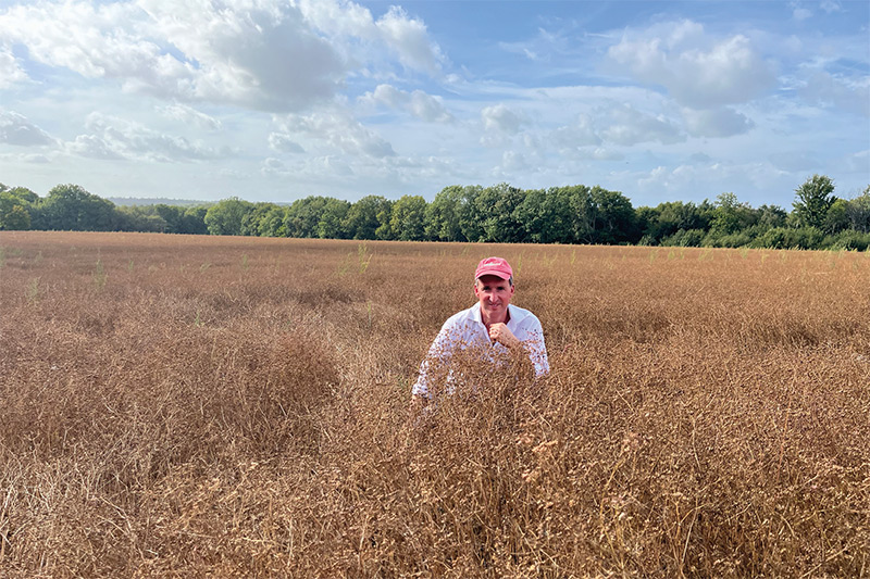 Tommy Haughton in Coriander field